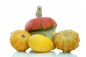 Colors of pumpkins photo