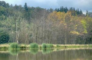 Beautiful landscape pond photo