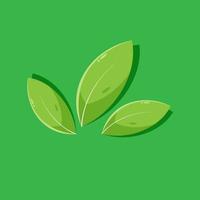 three leaves with green color background vector