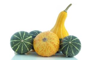 algunas de calabazas foto