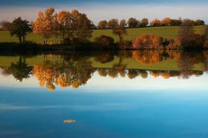 hermoso estanque de otoño foto