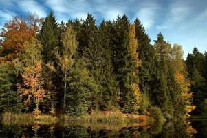 Autumn trees by the water photo