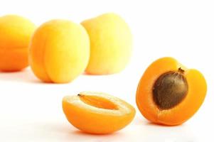Apricot on white ground photo
