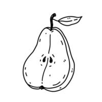 Sliced pear isolated on white background. Organic healthy food. Vector hand-drawn illustration in doodle style. Perfect for cards, decorations, logo, menu, recipes, various designs.
