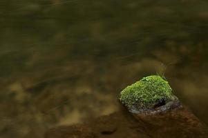 Stone in water photo