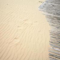 sand beach and wooden path in resort Jurmala town photo
