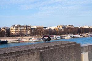 doves on parapet of embankment in Paris photo