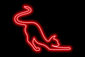 Red neon cat silhouette. Satisfied cat stretches and waves its tail vector