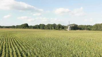 Aerial view of farm land fields planted with crops video