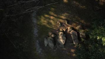 la lumière du soleil tachetée crée des ombres sur les rochers video