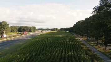 vista aérea de campos de terras agrícolas plantados com culturas video