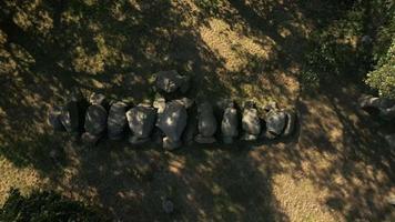 la luz del sol moteada crea sombras en las rocas video