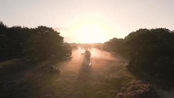 Sonnenlicht scheint über die neblige Landschaft video