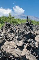 hardened lava rocks with Etna on background photo