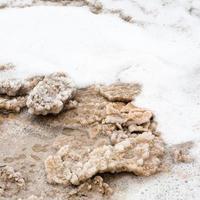 pieces of crystalline salt in foam of Dead Sea photo