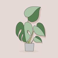 simplicidad monstera planta dibujo a mano alzada diseño plano. vector