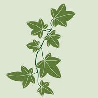 Simplicity ivy freehand drawing flat design. vector