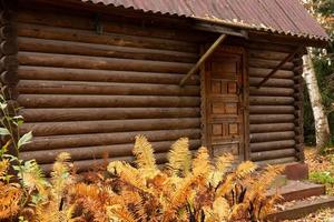 casa de madera de una planta en el bosque en la temporada de otoño. foto