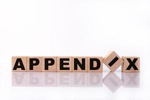 APPENDIX word, text, written on wooden cubes, building blocks, over white background with reflection. photo