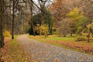 camino para peatones y bicicletas en el parque de otoño. foto