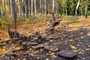 A fallen tree in the park as an object of contemplation, part of an ecological path. photo