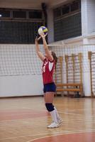 retrato de jugador de voleibol foto