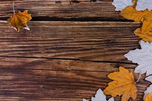 Autumn, maple, dry, yellow leaves on an old wooden background with copy space. photo