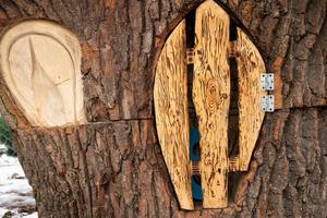 Wooden fairy door. beautiful natural background. door as a decorative element. fairy house. close-up, place for text. photo