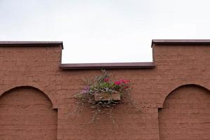 Hanging pot on a brown wall outdoors with beautiful autumn flowers. photo