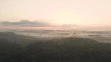 la lumière du soleil brille sur un champ brumeux video