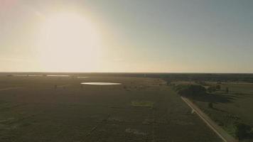 zon stijgen schijnt over- een landschap van velden en bomen video