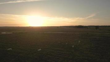 Sun rise shines over a landscape of fields and trees video