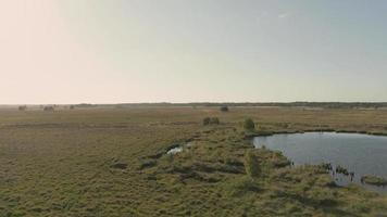 Aerial view of farm land with fields and trees video