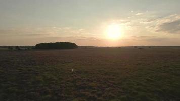 Sonnenaufgang scheint über einer Landschaft aus Feldern und Bäumen video