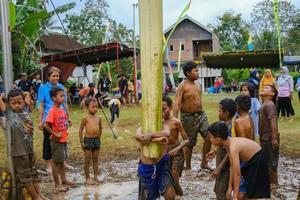 Blitar, Indonesia - September 11th 2022. Several small children who are working together take part in a banana tree climbing competition to commemorate Indonesian Independence in Blitar in afternoon photo