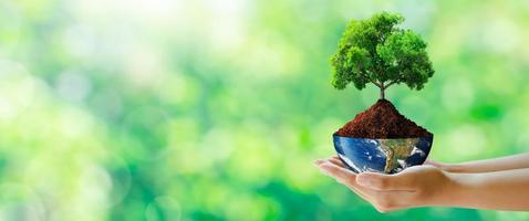 Hand holding tree with half globe. World Environment, Eco, and Earth Day Concept. photo