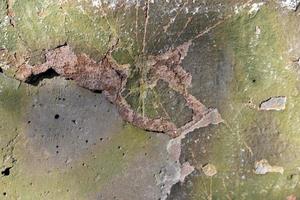 A green broken plastered wall with holes and cracks. photo