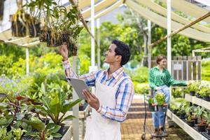 Young Asian garden owner is checking hanging orchid plant from the his garden center nursery with custormer's shopping cart for weekend vertical gardening usage photo