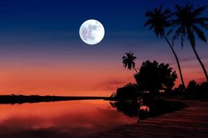 Night landscape with river and coconut tree. photo