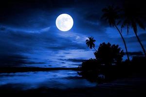 Silhouette of coconut tree, river, and moonlight photo