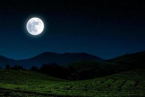 Night landscape in village with moon and stars. photo