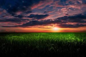 paisaje de puesta de sol de campo de arroz con cielo colorido. foto