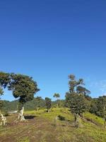 Nature pictures with blue sky and clouds photo