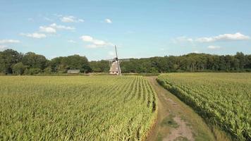 antenne visie van boerderij land- velden geplant met gewassen video