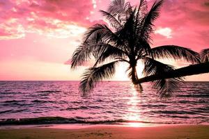 hermosa playa tropical al atardecer con palmeras y cielo rosa para viajes y vacaciones en tiempo de relajación de vacaciones foto