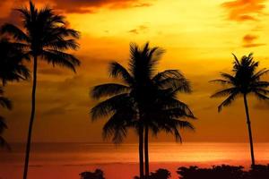 hermosa playa tropical al atardecer con palmeras y cielo rosa para viajes y vacaciones en tiempo de relajación de vacaciones foto