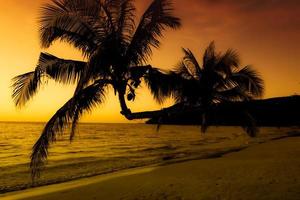 silueta de palmera en la playa durante la puesta de sol de una hermosa playa tropical en el fondo del cielo foto