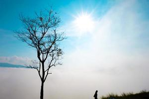 silueta de mujer con concepto de árbol.soledad foto