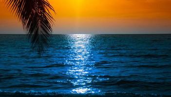 palm tree on the sea beach during sunset of beautiful a tropical beach on  sky background photo