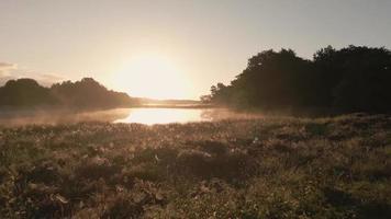 Sun light shines over foggy landscape video